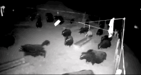 �ຣͻ�l(f��)6.9�������B��10��