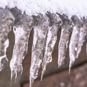 ��՚���u �ķNʳ�����㶬����