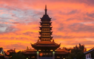 ���M�_�ţ�6���ŵ�@��