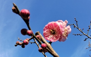 �S�Ķ����L(f��ng)�����L(f��ng)��¶��÷���_(k��i)