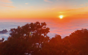 �Sɽ�Ĕz��������(m��ng)���ɾ��ƺ��ճ�