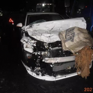 ���������ҹ�D�~5.5�fԪ ������...