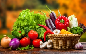 ��Ҫ���������P�M�����ʳƷ