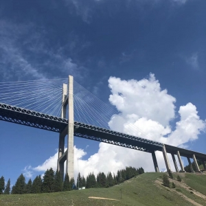 �W(w��ng)�ѕ�D��2022����ã�