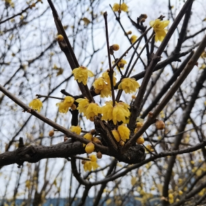 �W�ь��ģ������ݲ݁�ӭ��