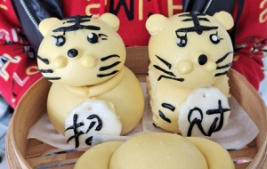 ����Ի��� ��������