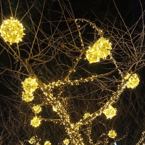 ����Ȧ���]������� �����Y��