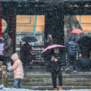 ����r�� �q���o��