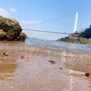 �(y��ng)����ů �Z���������