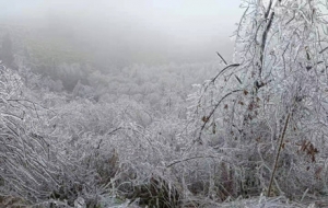 �W(w��ng)���Ĕz�������p�Fڡ�y�b�ع�