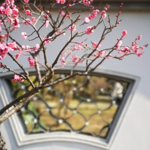 ���շ��� ���ǔ�(sh��)֦÷