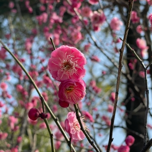 �(y��ng)��N�� �����_����