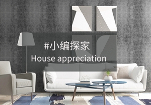 С��̽��  һ�cһ�ι������ҡ���ģ��