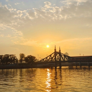 ���¶����S�﹫�@�p�ճ�