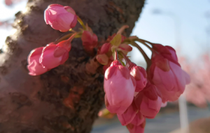 ������� �������´����Ϣ