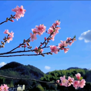 ҕ�l���]������һ���һ��_