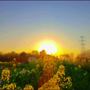 �ѻ� �Ͳ˻�ʢ�_ ������