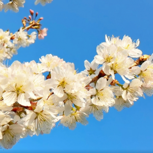 ��ů���_�r �҂�һ��ȥ�p����