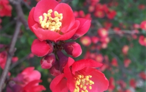 ����ϲӭ�� �ɋ�ȫ�����_�r