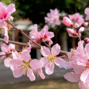 һ�����򿨣���򹫈@�һ�ʢ�_