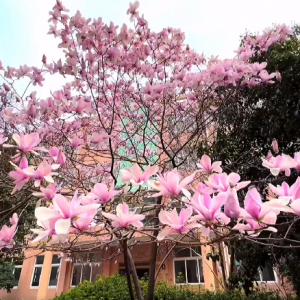 ҕ�l�򿨣� ����Ќ������mʢ�_