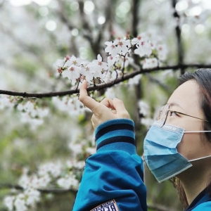 ���D���ݻ�ľ�[�d ʢ��޹΢��