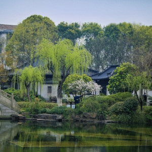 �W���S�ģ�����d���@����