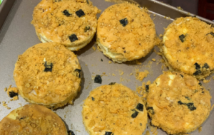 ��ζ�{������W�����������