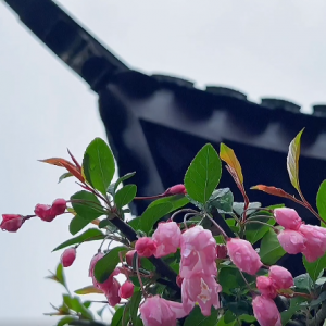 �����뽭�� �Z���칫�@�꾰