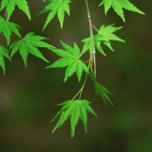 ���ⰻȻ��ֻ����G ���L(f��ng)�f(w��n)��