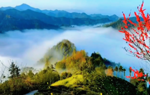 �zӰ������ɽ��ˮ�� �o�k�L(f��ng)������