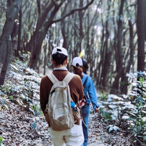 �W�ѷ������ꖹ����� ���һ�����