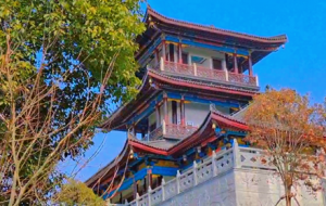 �e�����ɽ ꖹ����� ΢�L����