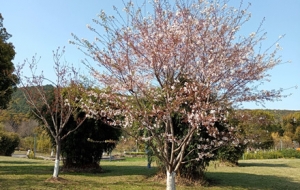 �e��ܽ�غ� ���o��������a