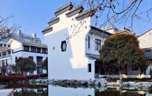 �����������ٻ��_ ������