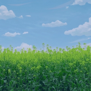 ��������ꎵĴ��՚�Ϣ