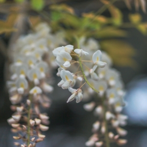 �������D���ѻ��� ���ٻ��_