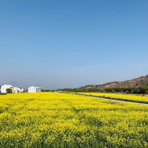 ���]���̿���ϴ ������