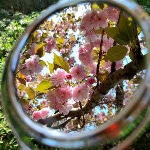 �W(w��ng)�ф�(chu��ng)�����D������һ���Ƕȿ��L(f��ng)��