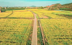 һ���o�H�Ͳ˻��� ӿ��һ�ɽ�ɫ����