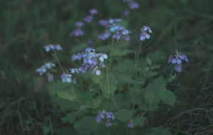 �����m �_�M��������