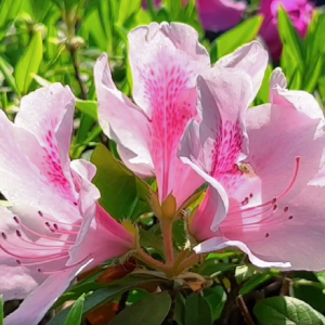 ��򹫈@���N��ʢ�_ ����M�M������