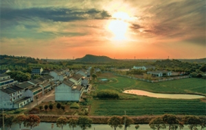 �W�т��DƬ�ϼ����l�F���� �S��ӛ��c��