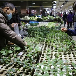 ��Ԓ�}���������g ����ڼҶ����Y����