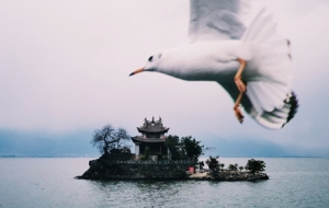 ����С����2���� ��ɫ�����t����ð��