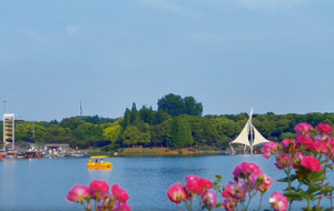 �Sɽ�����@������ɽɫ���箋