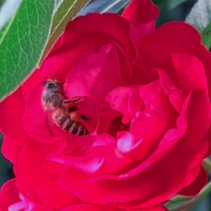 �¼����������ļ����`��