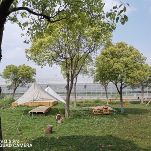 ��һȥ�r������ �������r�՚�