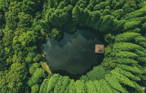 ��ů�r���� Ը��������@