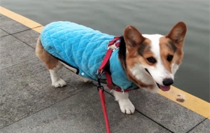 �P(gu��n)�I�r(sh��)���Pʺ��(li��n)ϵ���� �����ȥ�Ώ���